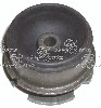 Engine Mounting - RH