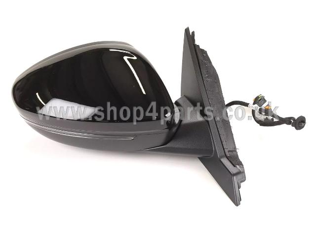 Door Mirror RH