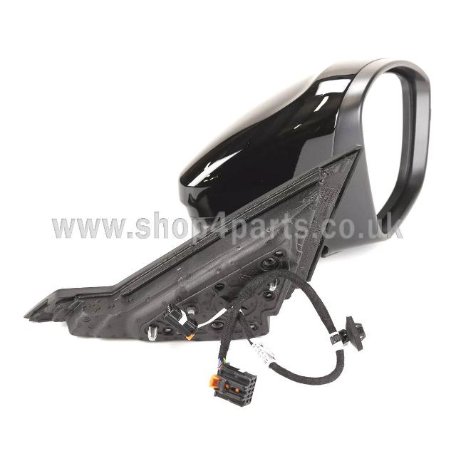 Door Mirror RH