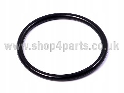 Water Pump Gasket Ducato