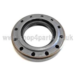 Input Shaft Seal