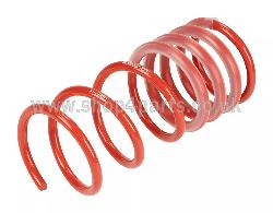 Rear Coil Spring (Red Eibach)