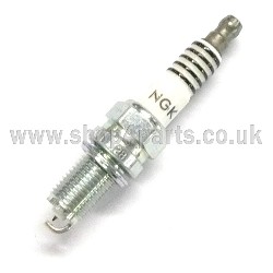 Spark Plug (x1)