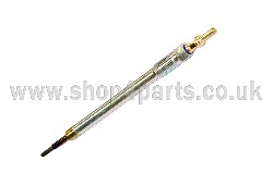 Glow Plug