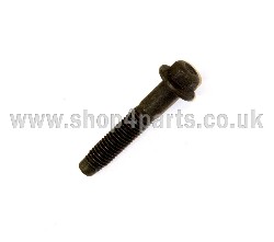 Timing Chain Screw