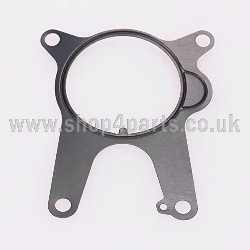 Vacuum Pump Gasket