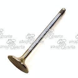 Exhaust Valve