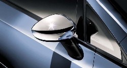 Door Mirror Cover RH