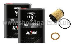 Abarth 500 Oil/Oil Filter/seal