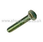 Badge Screw