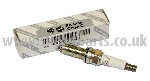 Spark Plug (x1)